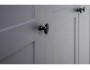 Остин Шкаф для одежды 13.336.02 графит/дуб золотой купить