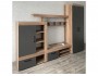 Шкаф многофункциональный Прима ШК-17 купить
