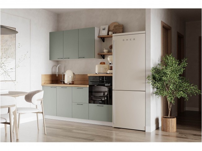 КГ 1950 Эмаль, Олива Арника РМ фото